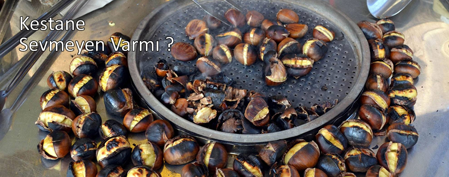 Kalite ve Hijyenin Doğru Adresi