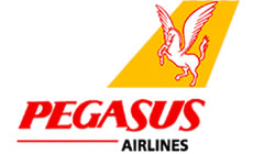 pegasus